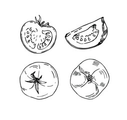 Tomato set in line art style.