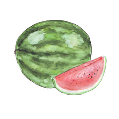 watercolor watermelon isolated on white background. hand drawn sketch style.