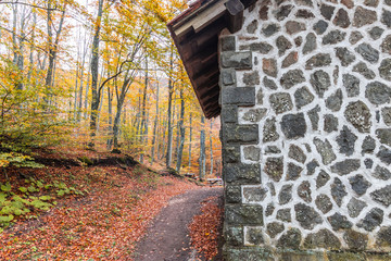 Foreste Casentinesi National Park, Italy