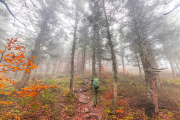 Foreste Casentinesi National Park, Italy