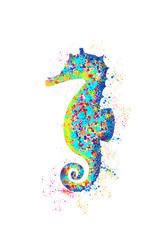Obraz premium Brightly colored seahorse on a white background