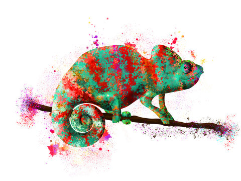 chameleon painted in bright colors