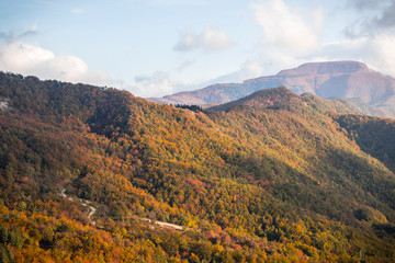 Foreste Casentinesi National Park, Italy