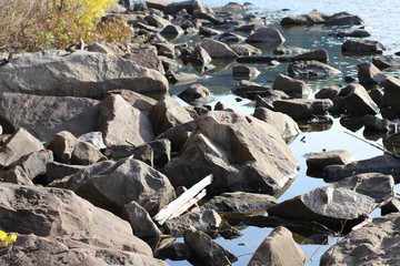 Rocky Shore