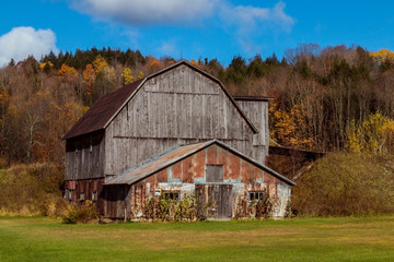 old barn in fall  © dg_basiove104