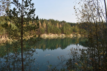 reflection of trees in water