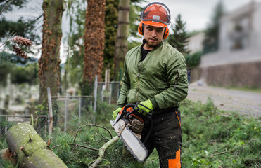 Front view of lumberjack with chainsaw cutting a tree in town.