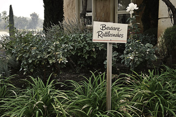 Beware of Rattlesnakes 