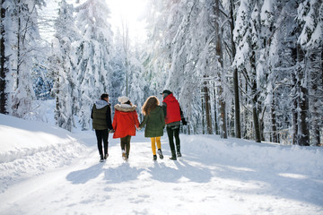 A rear view of group of young friends on a walk outdoors in snow in winter forest.