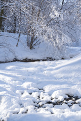 Beautiful winter landscape with snow covered trees