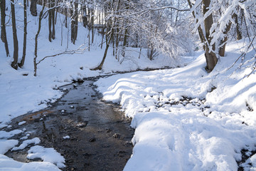 Beautiful winter landscape with snow covered trees