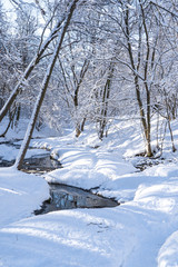 Beautiful winter landscape with snow covered trees