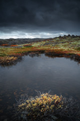 Tundra nature colorful landscape at Kola Peninsula in the autumn. Murmansk Region in Northern Russia