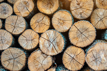 Wood burning stove. Firewood for furnace heating. Warehouse for firewood for stove.Natural wooden background - closeup of chopped firewood. Firewood stacked and prepared for winter Pile of wood logs
