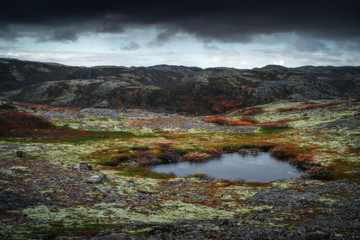 Tundra nature colorful landscape at Kola Peninsula in the autumn. Murmansk Region in Northern Russia
