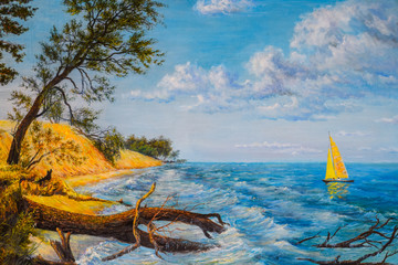boat with a sail by the sea and a tree felled by storm.