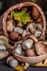 Mushroom over Wooden Background. Autumn Cep Mushrooms on wood. Autumn forest fruit
