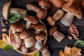 Mushroom over Wooden Background. Autumn Cep Mushrooms on wood. Autumn forest fruit