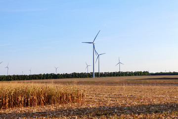 wind turbines in the field