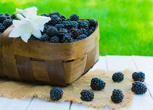 Blackberries Basket Images – Browse 8,092 Stock Photos, Vectors, and Video  | Adobe Stock