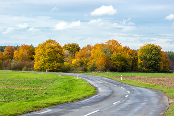 Forest road among colorful autumn trees