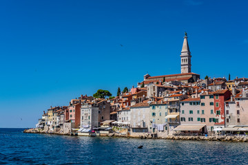 Naklejka na ściany i meble Seagulls and panoramic view of romantic and historic Town of Rovinj on sunny summer day, Istra, Croatia