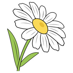 Illustration of a cartoon chamomile