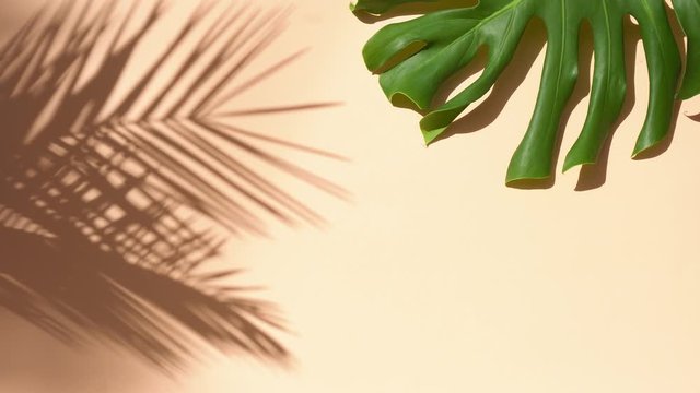 Summer flat lay scenery