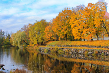autumn landscape. trees with yellowed leaves. time for walks