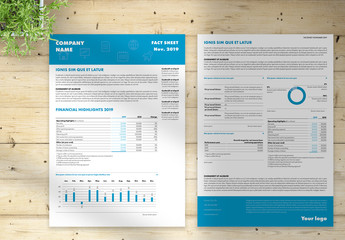 Flyer Layout with Blue Headers