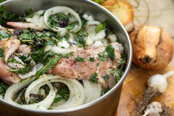 Marinated chicken with onions and herbs for grill