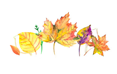 Set of autumn leaves. Watercolor illustration of bright leaves isolated on white background.