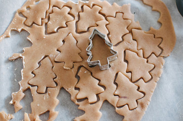 Dough of gingerbread cookie with tree shape
