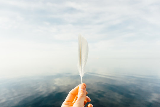 Close up view of hand holding feather