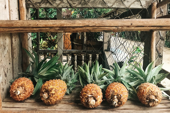 Fresh pineapples placed on wooden rack