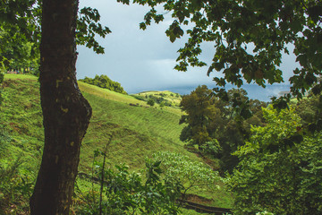Fototapeta premium beautiful fields and landscape on the island of Sao Miguel, Azores, Portugal