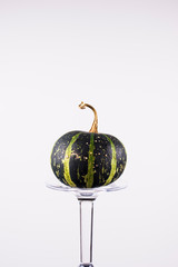 pumpkin on white background
