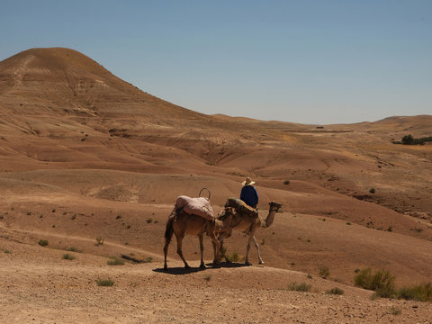 Man riding camel in desert