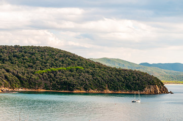 Fototapeta premium Two yahts floating near the scenic landscape of Cala Violina beach in Tyrrhenian Sea bay surrounded by green forest in province of Grosseto in Tuscany