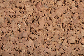 Cork tree texture close up. Wood cork background