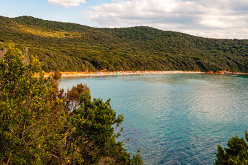 Scenic landscape view on Cala Violina beach and Tyrrhenian Sea bay surrounded by green forest in...