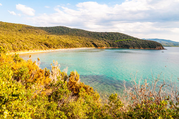 Scenic landscape view on Cala Violina beach and Tyrrhenian Sea bay surrounded by green forest in province of Grosseto in Tuscany