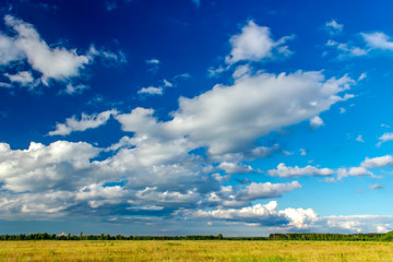 Fototapeta na wymiar Beautiful clouds over the Russian field. Summer landscape.