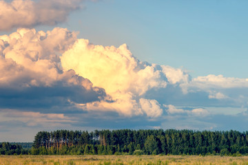 Fototapeta na wymiar Beautiful clouds over the Russian field. Summer landscape.