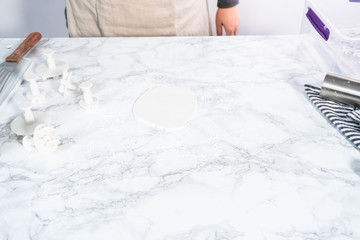 Fondant snowflake shapes