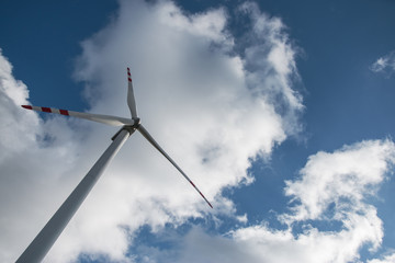 Fototapeta premium wind turbine - renewable energy sources