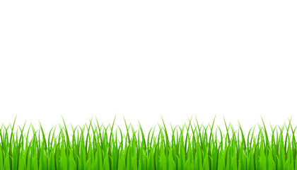 Fototapeta premium Zielona trawa łąka granicy wektor wzór. Trawa tło wektor ilustracja