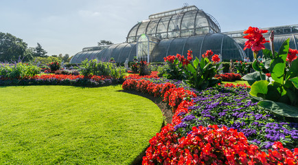 Greenhouse botanical gardens in spring. - obrazy, fototapety, plakaty