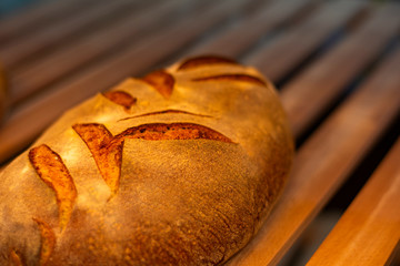 hot fresh crispy brown bread