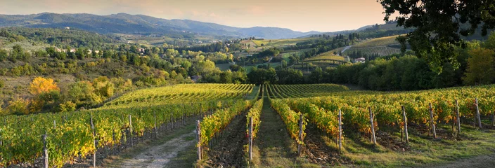 Tuinposter Wijngaard Prachtige wijngaard in de Chianti-regio in de buurt van Greve in Chianti (Florence) bij zonsondergang met de kleuren van de herfst. Italië.